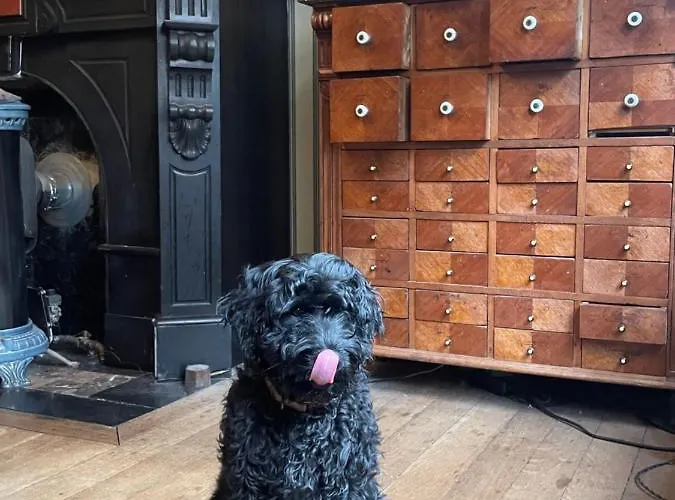 B&B Thibault 리에주