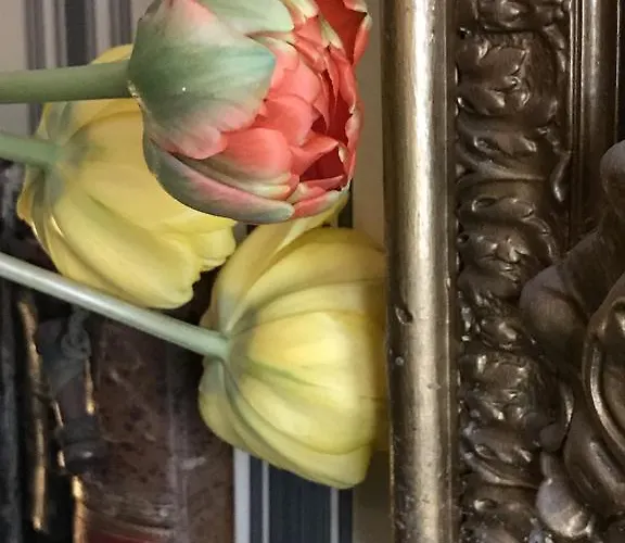 Thibault 3* 리에주