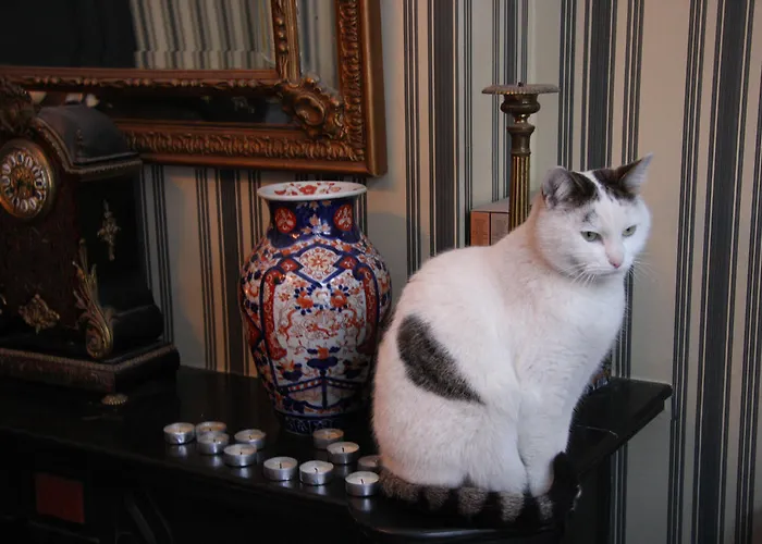 Alojamento de Acomodação e Pequeno-almoço Thibault