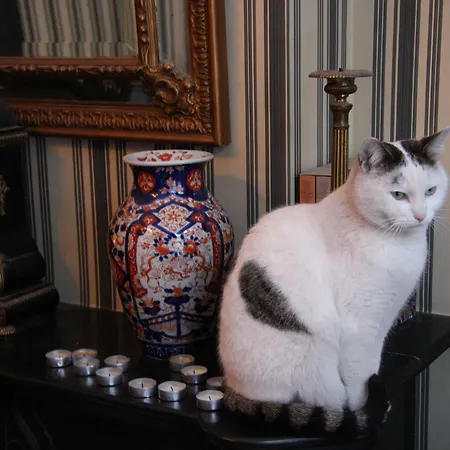 Bed & Breakfast Thibault